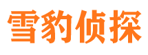 峨边寻人公司